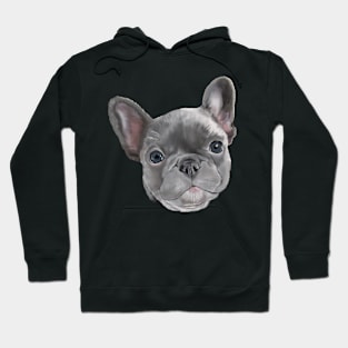 French Bulldog Puppy on White Hoodie